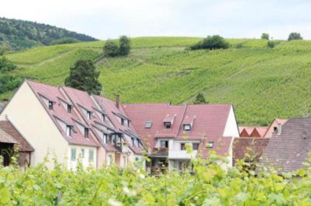 Apartamento Vue Sur Vignes Riquewihr Exterior foto
