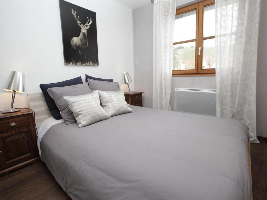 Apartamento Vue Sur Vignes Riquewihr Exterior foto
